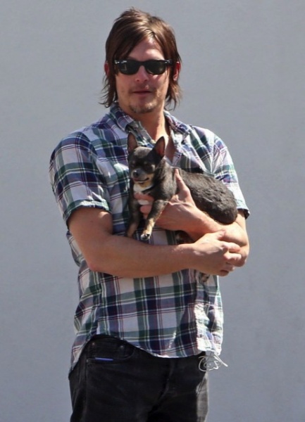When He Took His Cute Pup Out Stroll 463x640